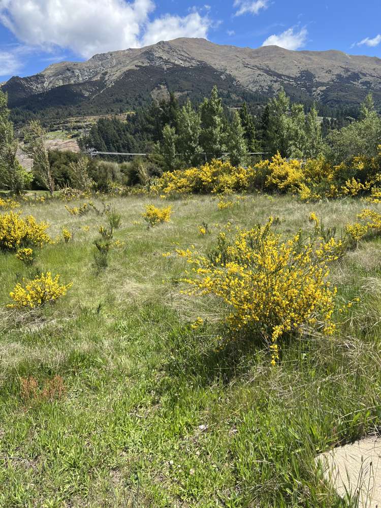 4 Francis Lane Lake Hawea_9