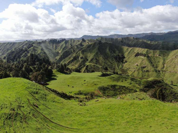 168 Pao Road Aria_15