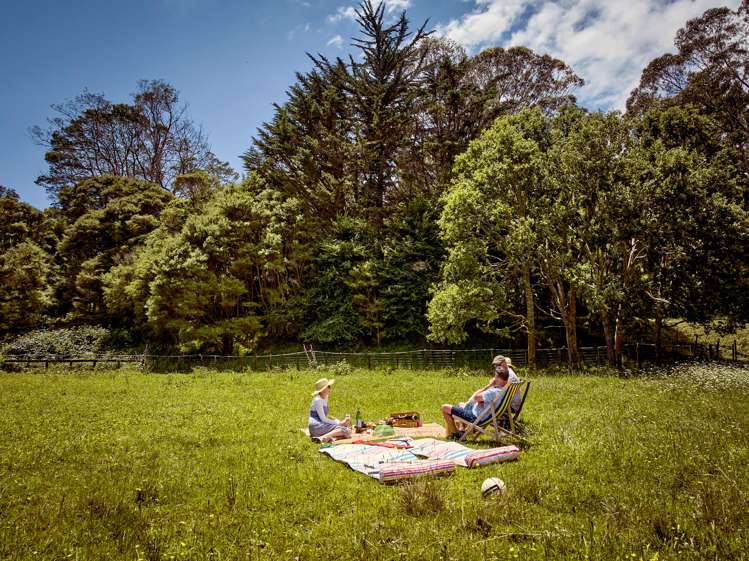 7 Greendale Drive Otaihanga_7