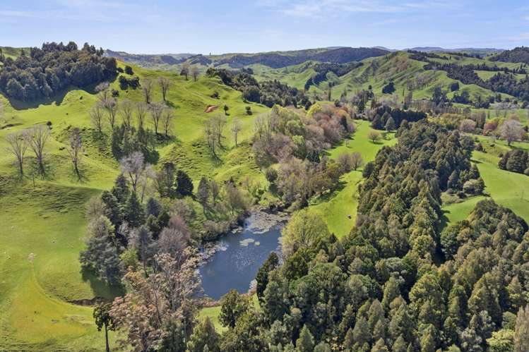 1741 Tikitiki Road Te Kuiti_13