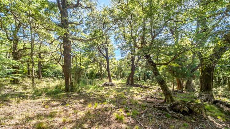 525 Muritai Road Pencarrow Head_11