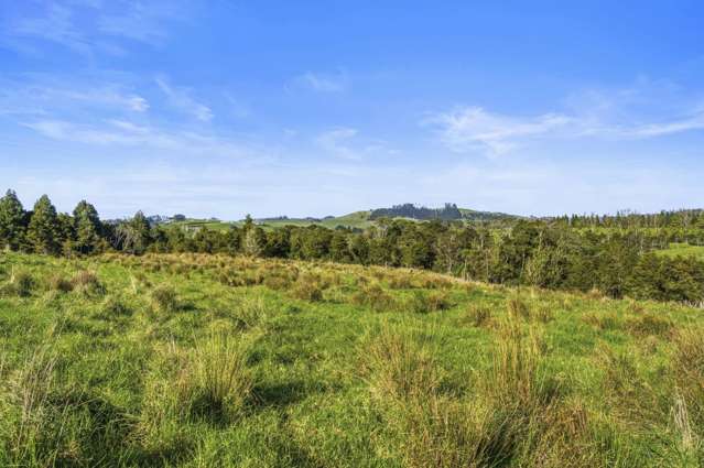 Lot 4/186 Metcalfe Road Matakohe_3