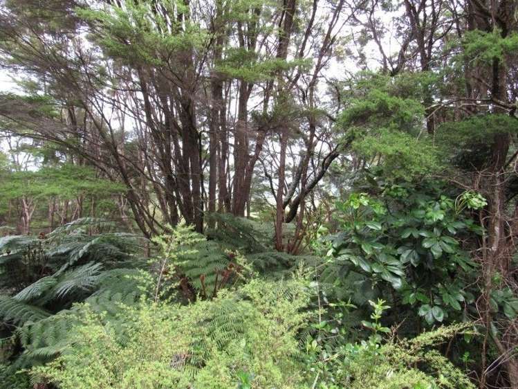 24 Goldfields Road Karangahake_7