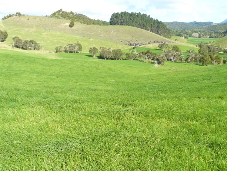 1907 Diggers Valley Road Kaitaia_14