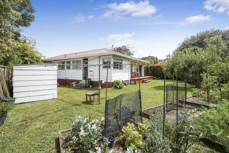32 Caernarvon Street Dinsdale_14