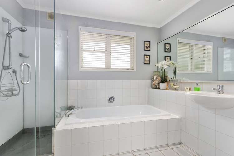 84a Landscape Road Mount Eden_14