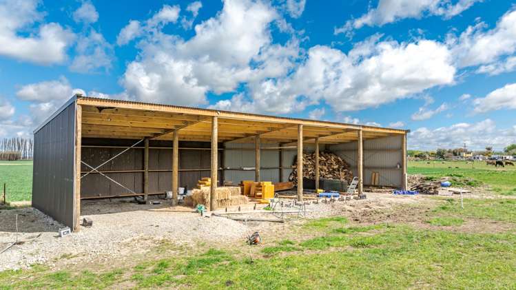 8 Barretts Road Seadown_20