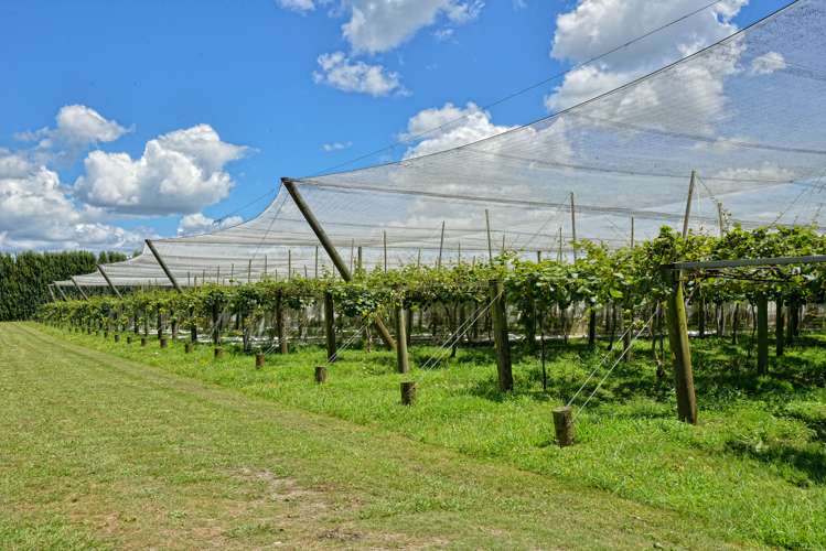 104 College Road Hexton_3