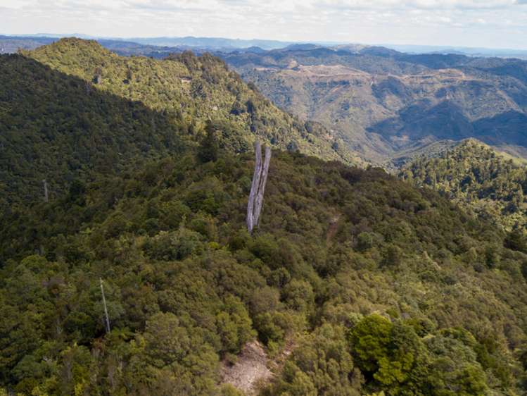 552b Cuff Road National Park_10