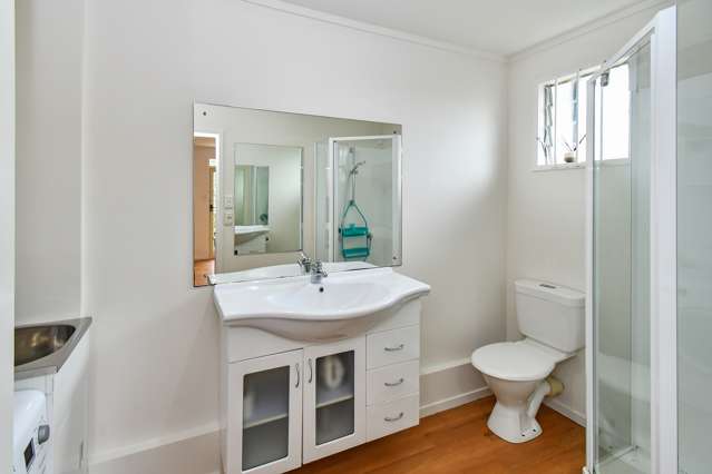 1/3 Shirley Road Grey Lynn_4