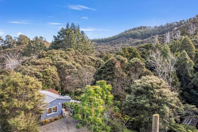 203 Tahekeroa Road Makarau_2