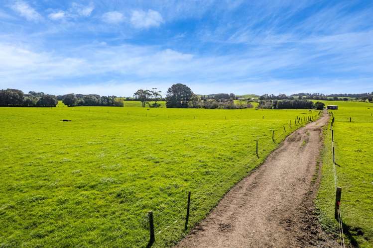 226 Pukearuhe Road Mimi_18