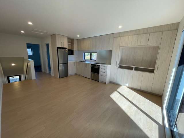 101/73 Ferry Road Christchurch Central_3