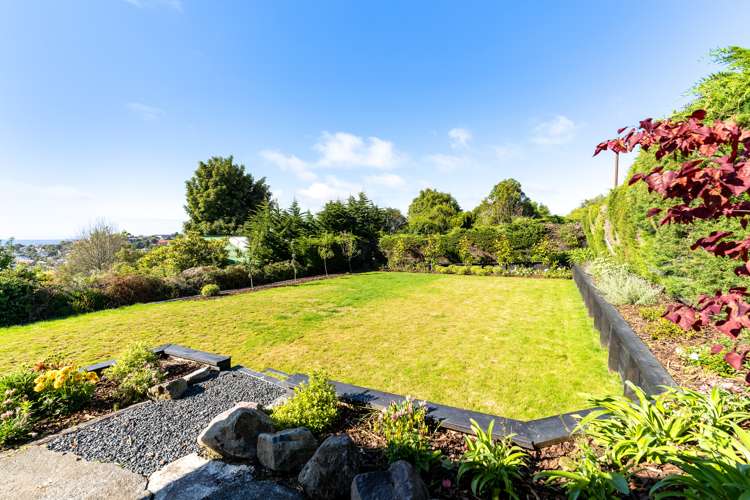 123 Lynn Street Wakari_14