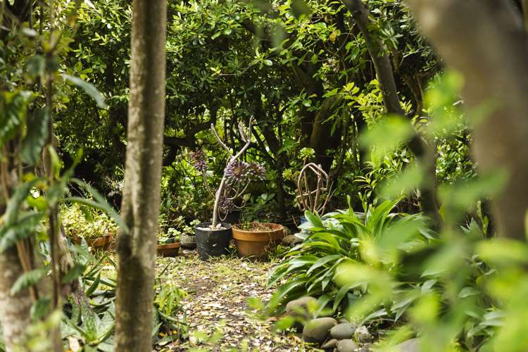 8 Estuary Street Makara Beach_13