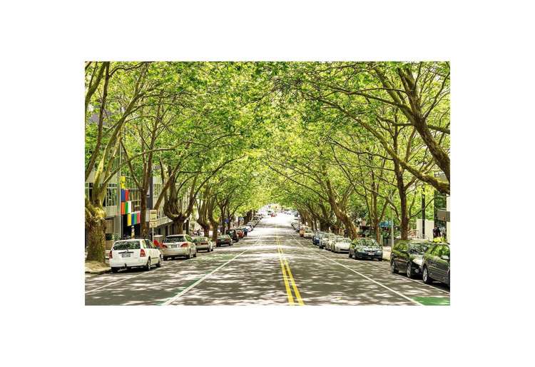 310/106 Vincent Street Auckland Central_17