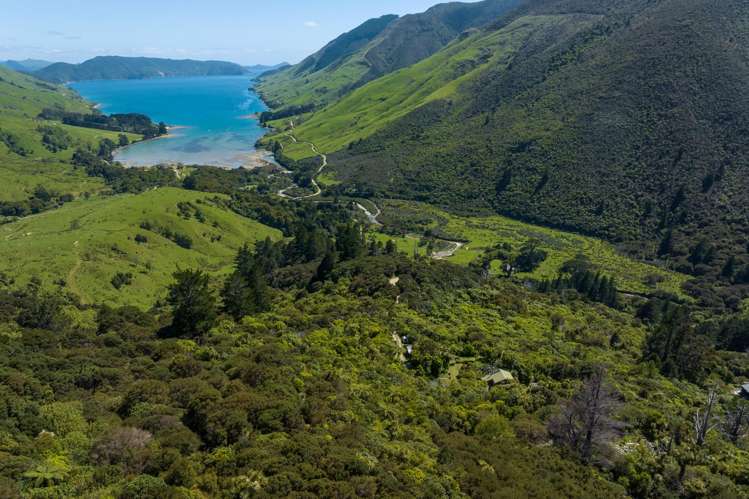 565 Anakoha Road Marlborough Sounds_18