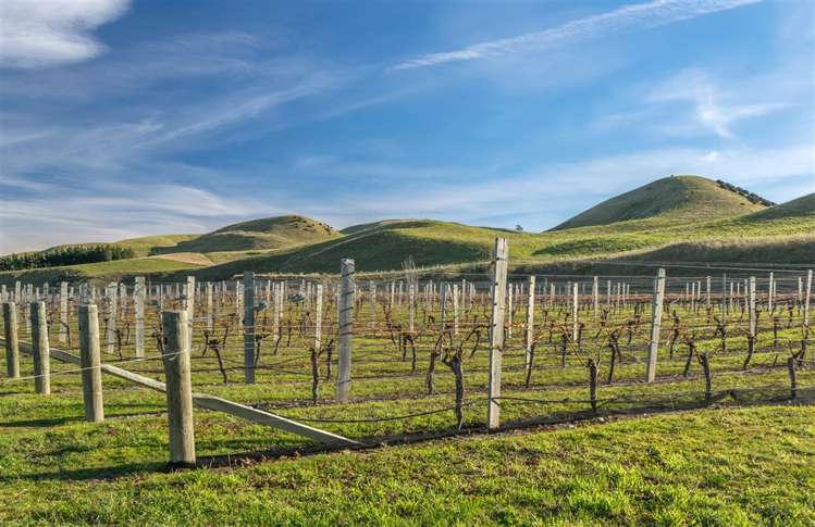 5468 State Highway 1 Seddon_16