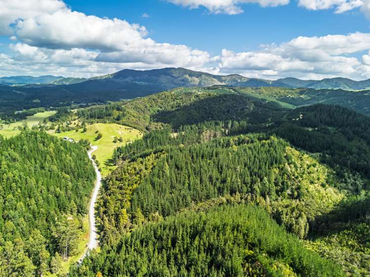 Pokapu Road Matawaia_7