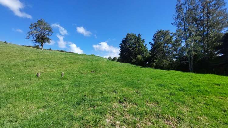 1104 Tapuhi Road Hikurangi Rd2_15