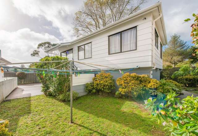 169a Hendon Avenue Mount Albert_1