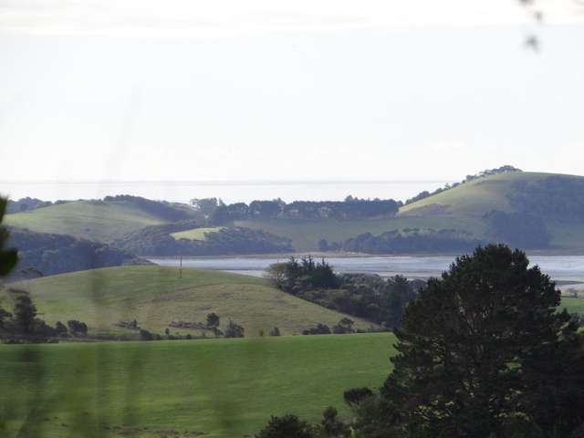 206 Kauri Mountain Road Taiharuru_4