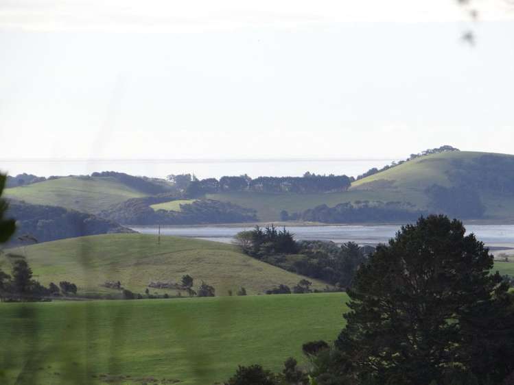 206 Kauri Mountain Road Taiharuru_4