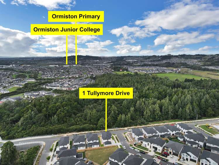 1 Tullymore Drive Flat Bush_23