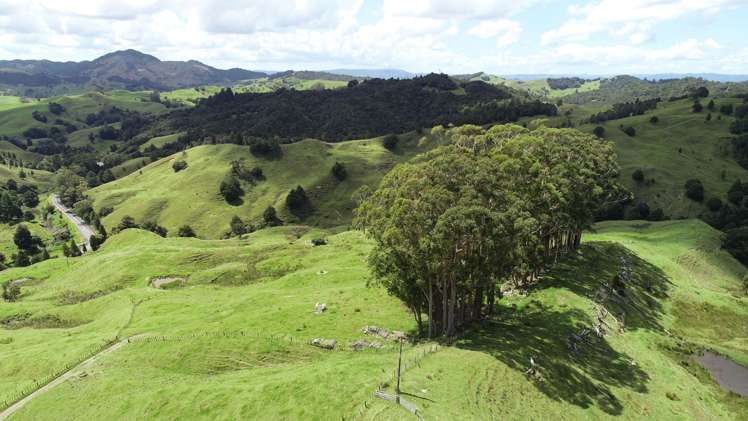 109 Paponga Road Broadwood_6