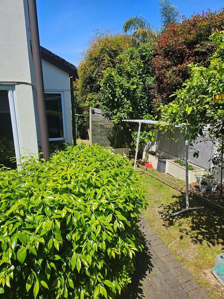 2a/13 Bucklands Beach Road Bucklands Beach_15