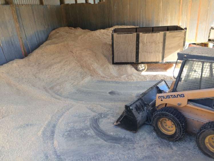 198 Harbottle Road Morrinsville_7