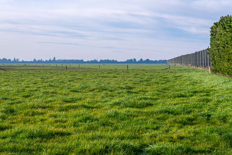 128 Foley Road Levels_15