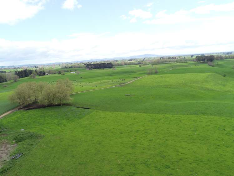 802 Kakahu Road Tapapa_3