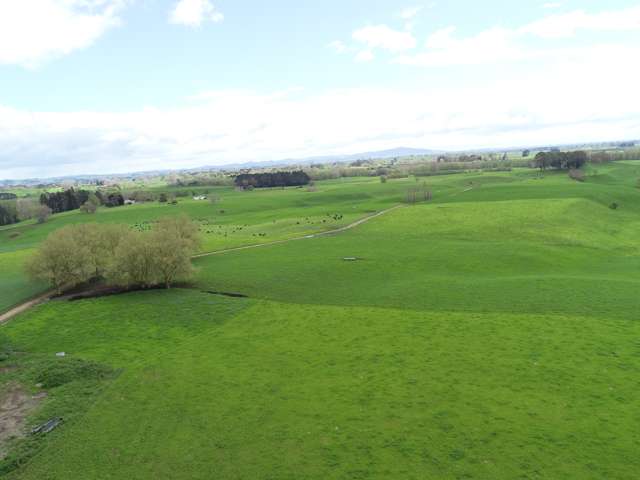 802 Kakahu Road Tapapa_3