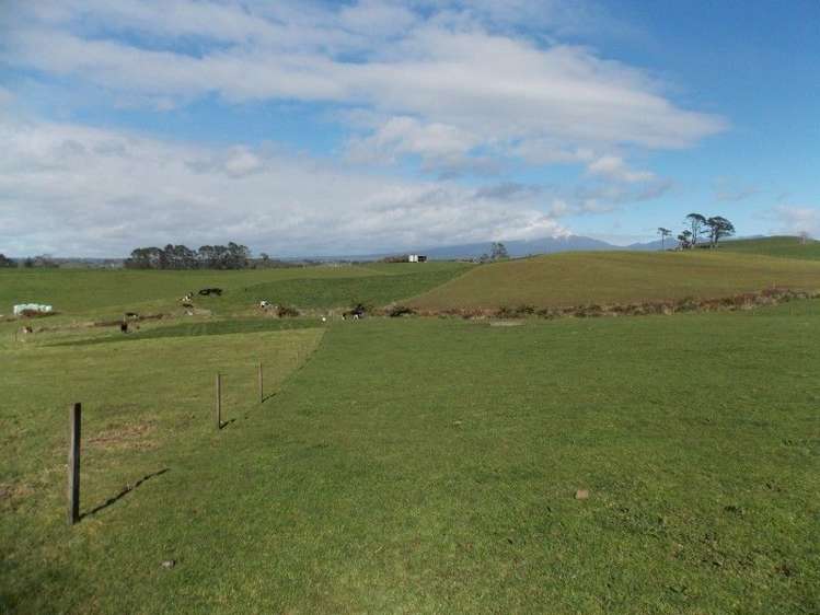 222 Lincoln Road Inglewood_2