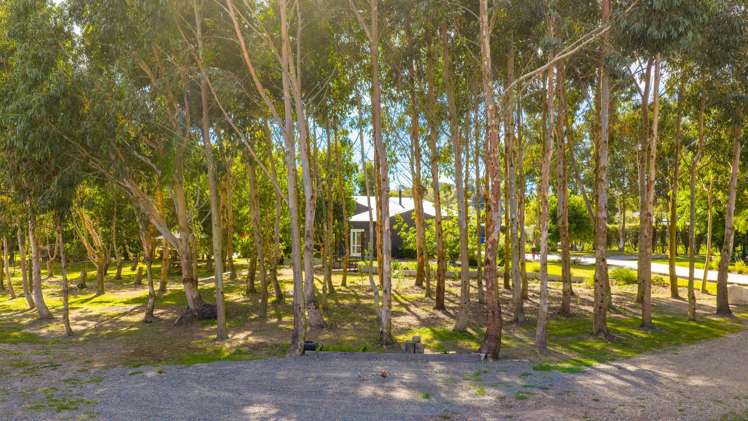 2B Bibby Street Waipawa_14