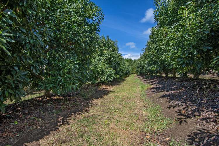 88 Stone Wall Rse Maungatapere_5