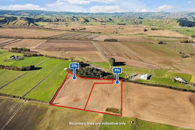 37a Belcher Road Te Kauwhata_3