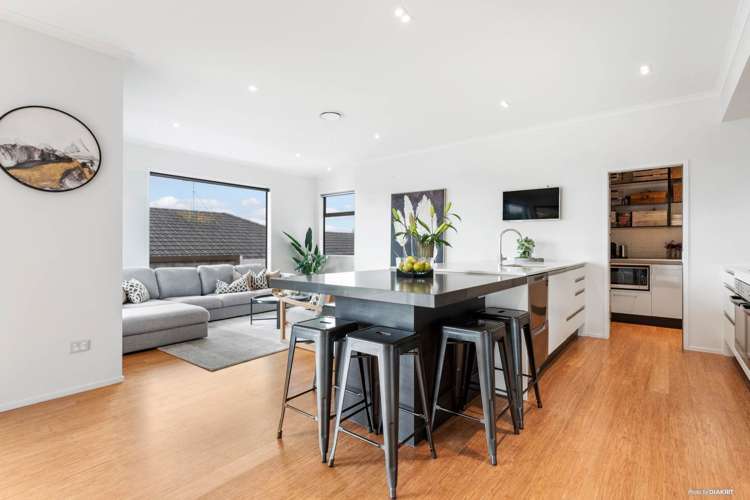 14a Premila Drive Pukekohe_1