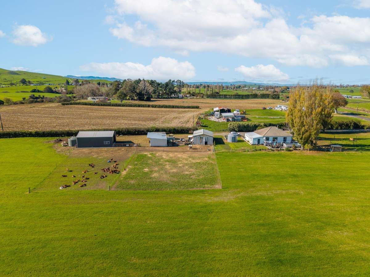 395 Kiwitahi Railway Road_4