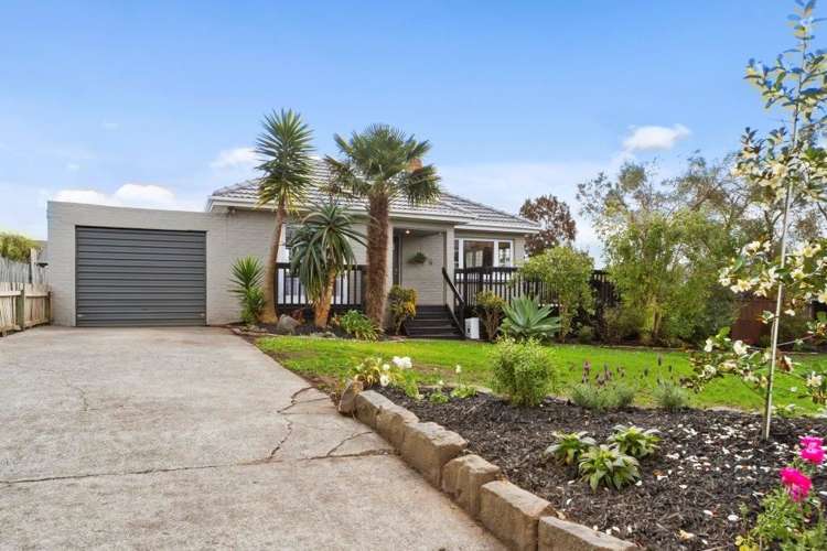 129 Astley Avenue New Lynn_17