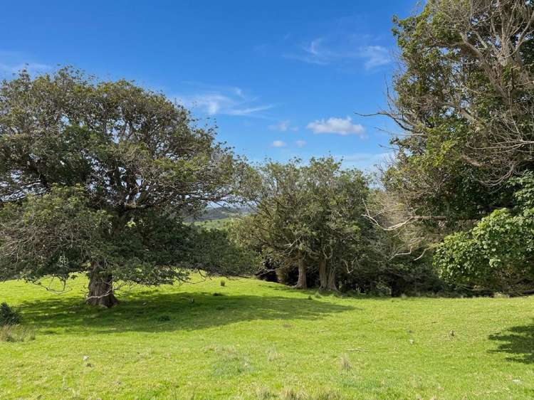583 Lusk Road Ruawai_5