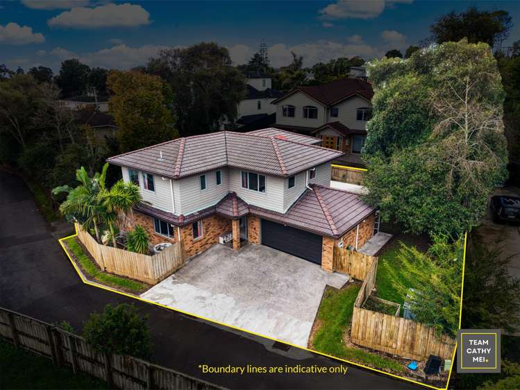 55a Sheridan Drive New Lynn_0