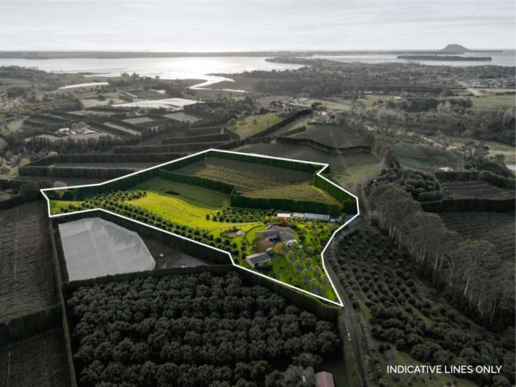 24c Pahoia Road Whakamarama_32