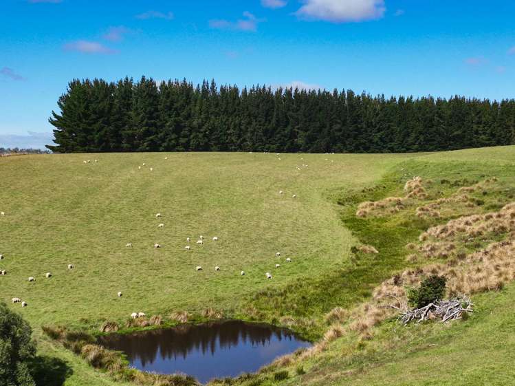 125 Tomogalak Road Ardlussa_10