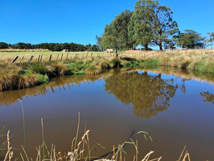 Lot 3/355 Lethbridge Road Feilding_1