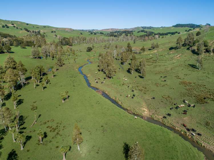 246 Allen And Eyre Road Onewhero_6