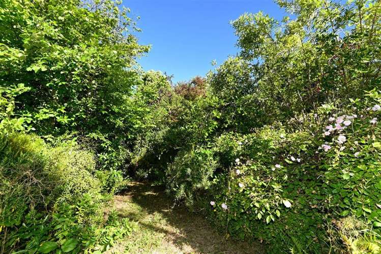 19 Ramahana Road Huntsbury_5