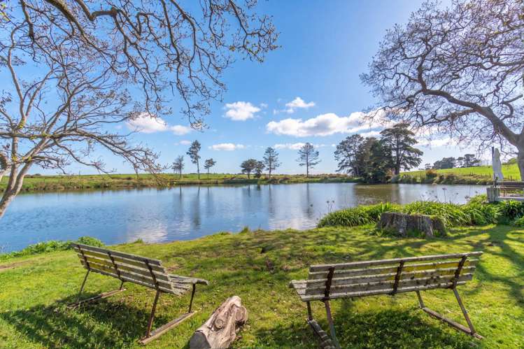 37E William Potter Lane Karaka_35