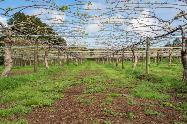 448 Ngunguru Road Glenbervie_1